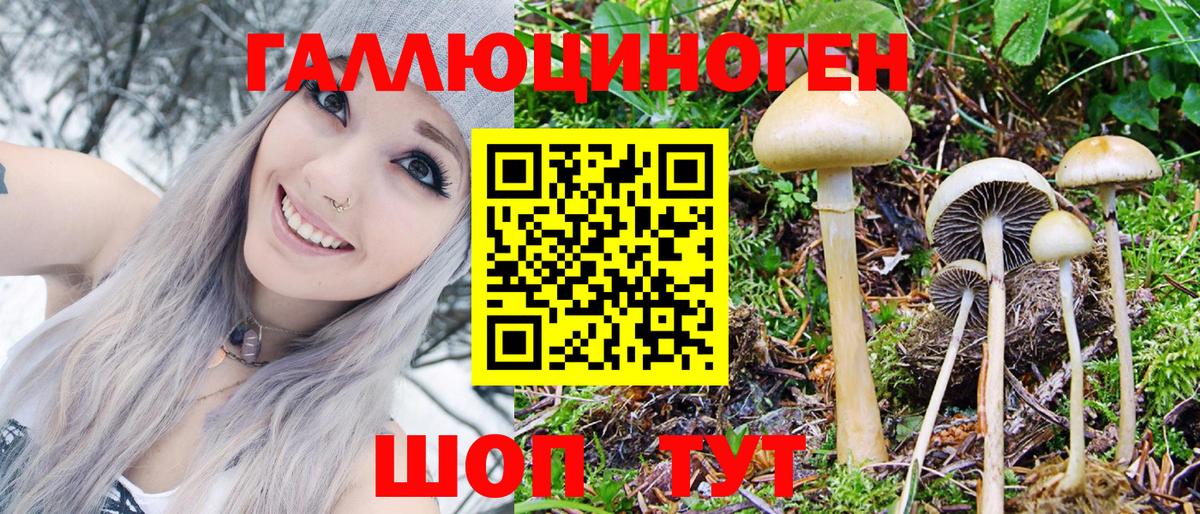Ковров  Псилоцибиновые грибы MAGIC MUSHROOMS  Галлюциногенные грибы мухоморы  Вход с VPN 